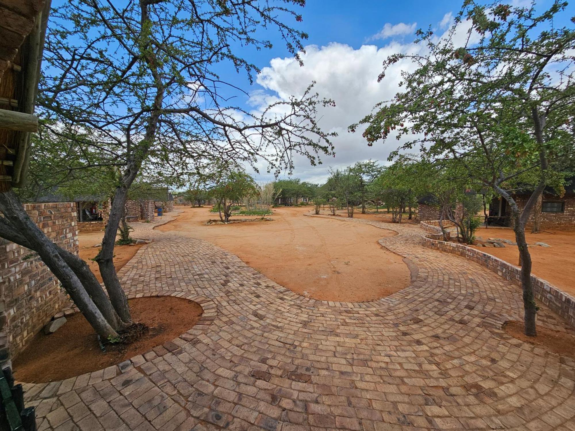 Kaoko Bush Lodge Kamanjab Kültér fotó