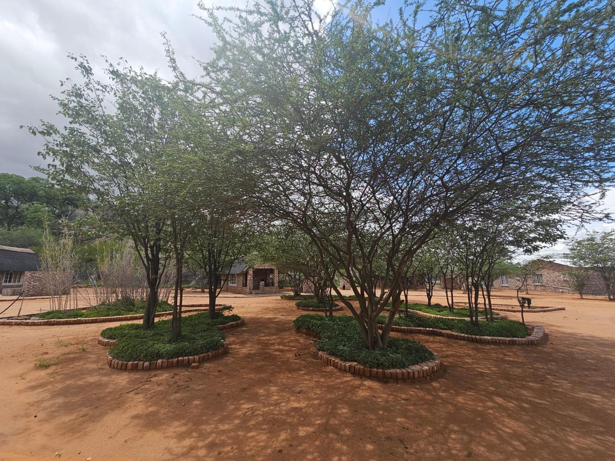 Kaoko Bush Lodge Kamanjab Kültér fotó